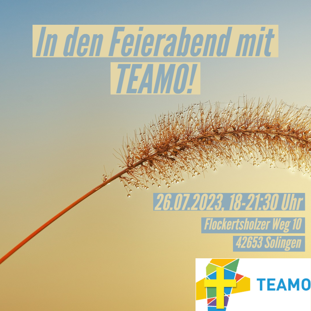 Teamo in Aktion Juli 2023